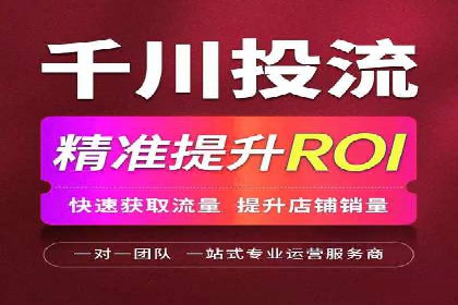 成功案例解析：SEO与SEM协同营销策略